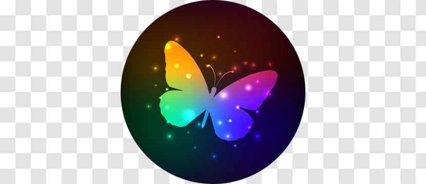 Butterfly Rainbow Wing Color Transparent PNG