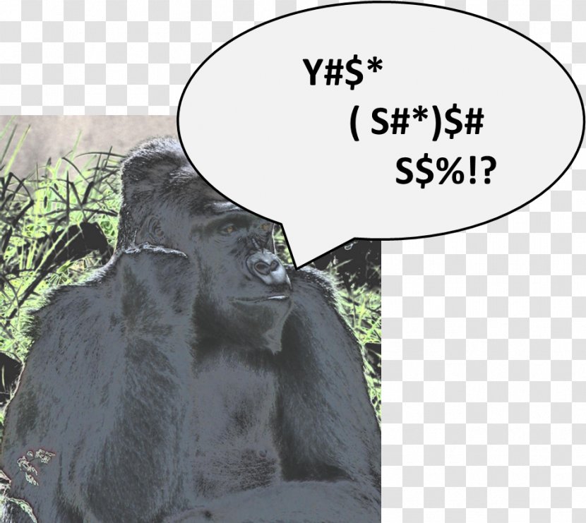 Gorilla Wildlife Eye Snout Fad - Cat Like Mammal Transparent PNG