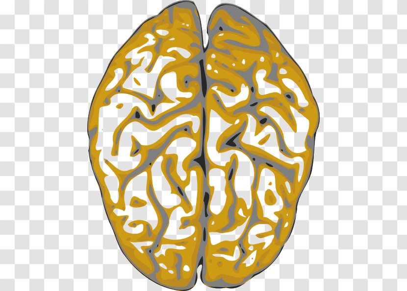 Clip Art Vector Graphics Human Brain - Math Transparent PNG