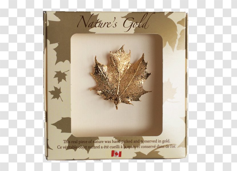 Canadian Gold Maple Leaf Canada Red - Charms Pendants - Golden Leaves Transparent PNG