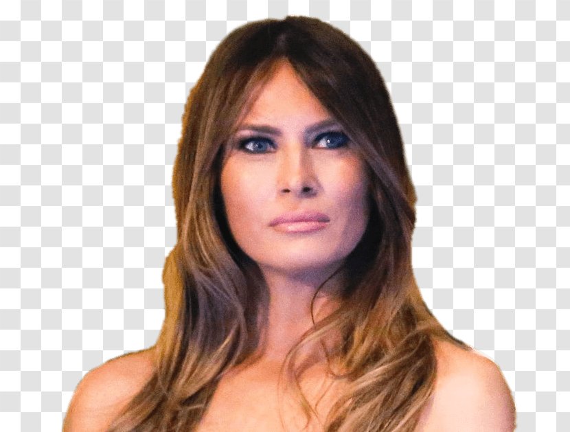 Melania Trump White House Funny Face YouTube Clip Art - Eyebrow Transparent PNG