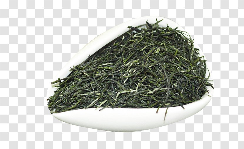 Xinyang Maojian Tea Gyokuro Green - Special Transparent PNG