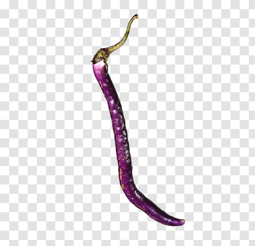 Eggplant Computer File - Melon - Long Thin Eggplants Transparent PNG