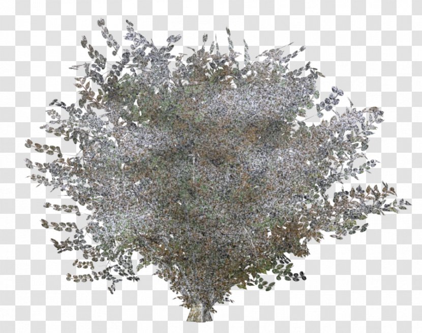 Tree Shrub Clip Art - Digital Media - Snow Transparent PNG
