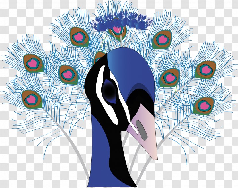 Bird Asiatic Peafowl Clip Art - Cartoon Transparent PNG
