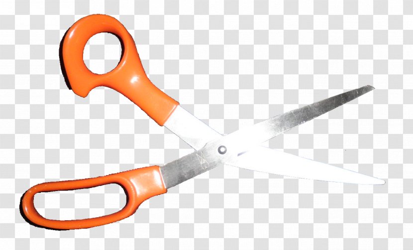 Scissors Tool Plant Stem Hair-cutting Shears Knife - Kitchen Transparent PNG