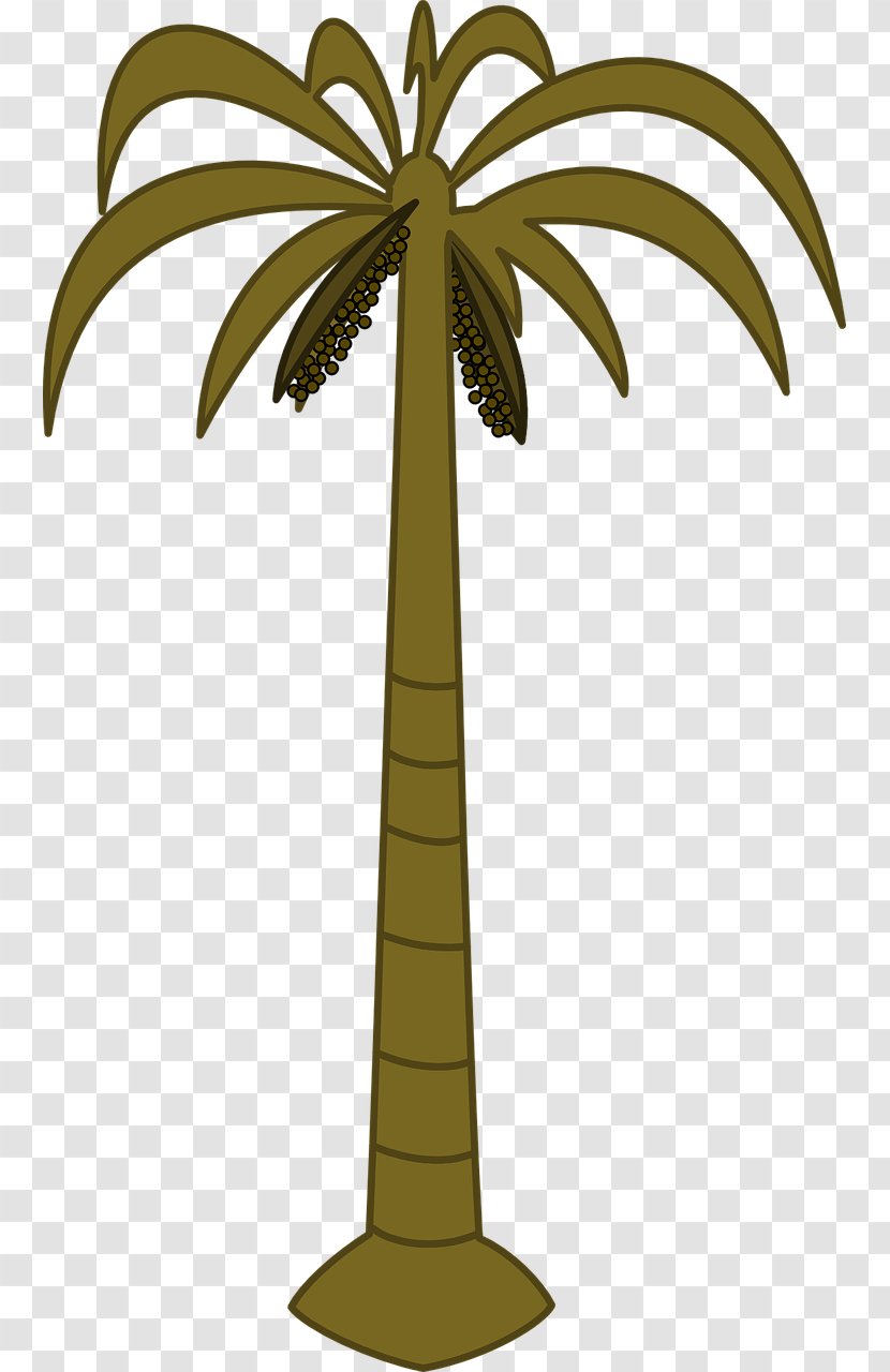 Arecaceae Tree Date Palm Coconut Clip Art - Plant Stem Transparent PNG