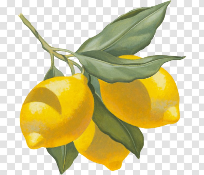 Clementine Lemon Apéritif Tangerine Restaurant - Citric Acid - Chicken Transparent PNG