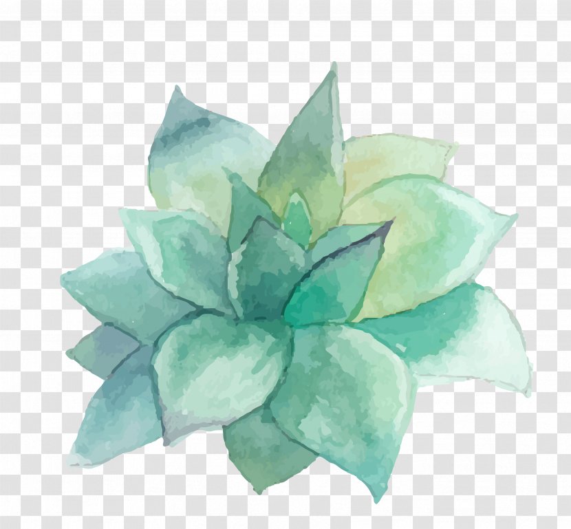 Succulent Plant Watercolor Painting Art Wall Decal - Cactaceae - WATERCOLOR LEAF Transparent PNG