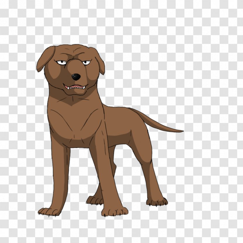 Labrador Retriever Nova Scotia Duck Tolling Puppy Dog Breed Companion - Snout Transparent PNG