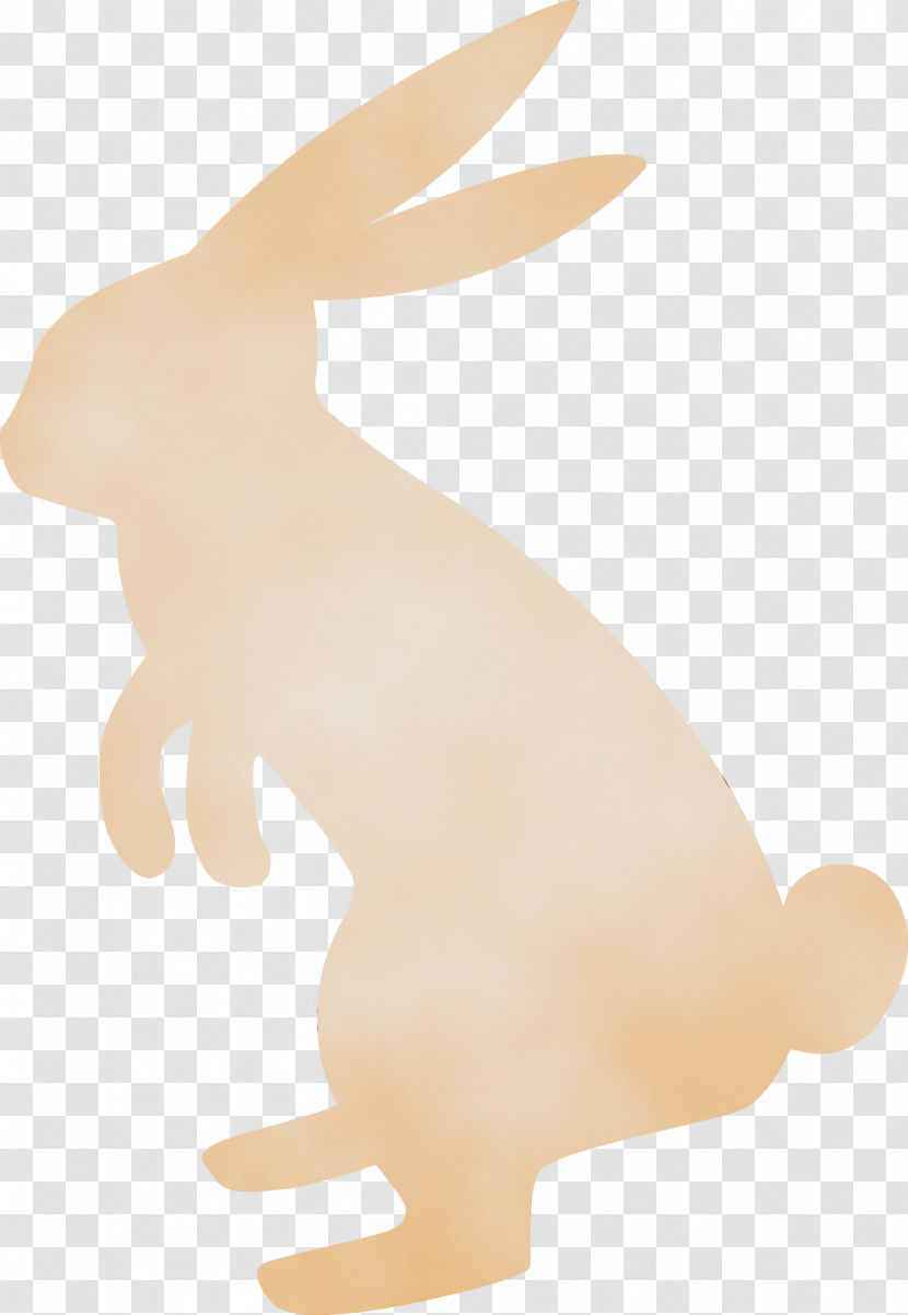Rabbit Animal Figure Hare Rabbits And Hares Tail Transparent PNG