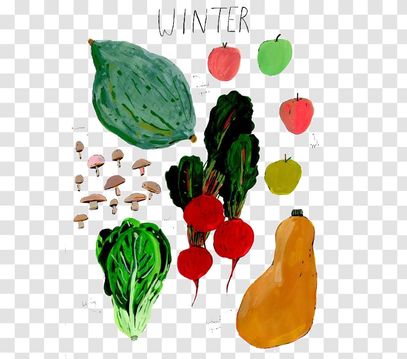 Vegetable Gratis Food Illustration - Fruit - Vegetables Transparent PNG