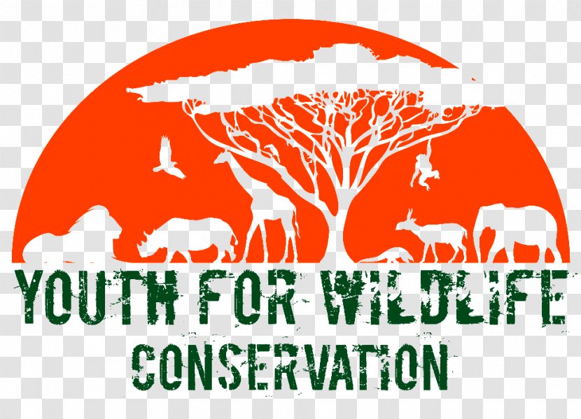 Wildlife Conservation World Day Wide Fund For Nature - Fauna - Charts Transparent PNG