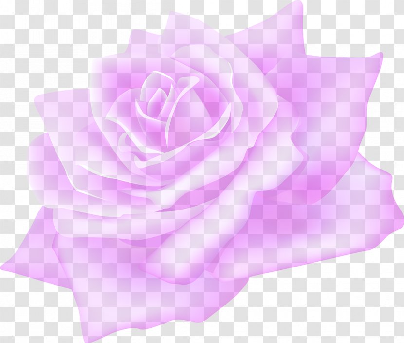 Garden Roses Flower - Lilac Transparent PNG