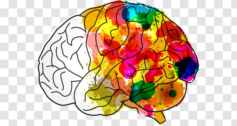 Human Brain Creativity Mind Hacks - Watercolor - Health Transparent PNG
