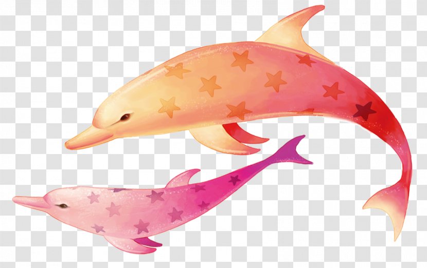 Dolphin - Marine Mammal - Colorful Dolphins Transparent PNG