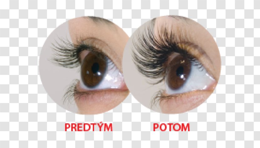 Eyelash Extensions Cosmetics Mascara Eye Liner - Lash Perm Transparent PNG