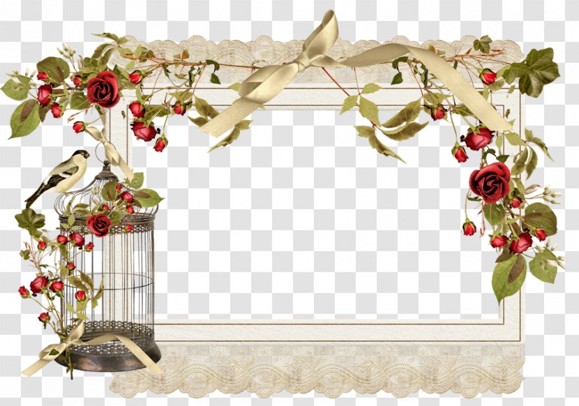 Picture Frames Floral Design Clip Art - Drawing - Birdcage Transparent PNG