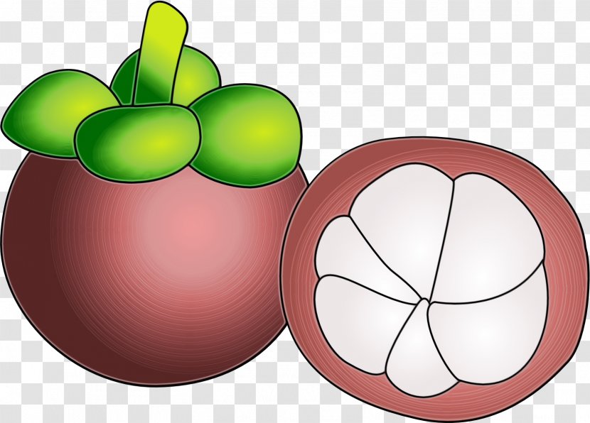 mangosteen fruit png