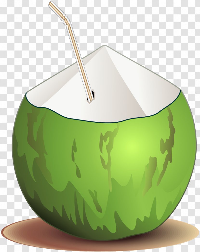 Coconut - Green - Vector Painted Milk Transparent PNG