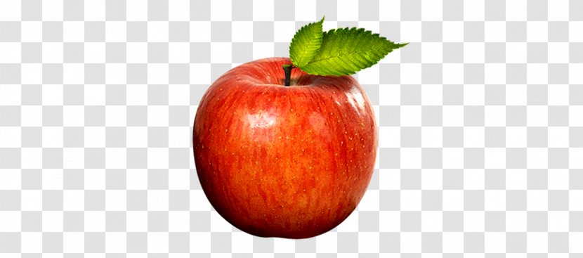 Apple Icon - Food - Red Transparent PNG