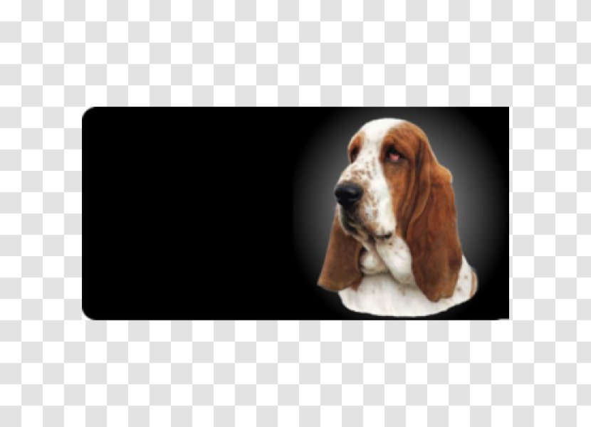 Basset Hound Artésien Normand Puppy Dog Breed Vehicle License Plates Transparent PNG