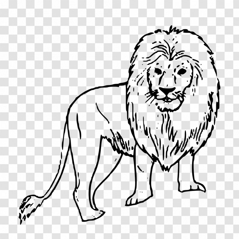 Lion Black And White Drawing Clip Art - Coloring Book - Illustration Transparent PNG