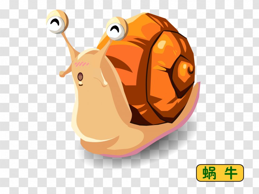 Drawing Snail Festival Gratis - Hand-painted Transparent PNG