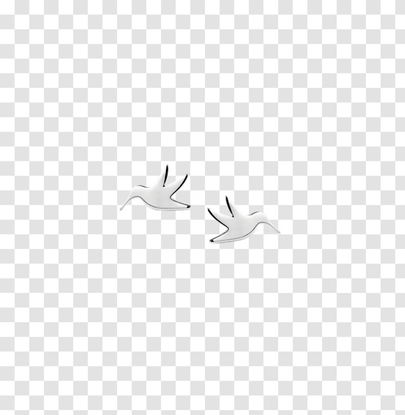 Beak Seabird Wader White - Bird Transparent PNG