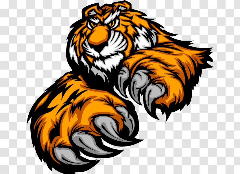 Bengal Tiger Drawing - International Day - Claw Transparent PNG