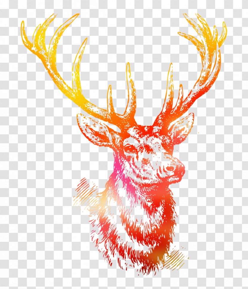 White-tailed Deer Reindeer Red Antler - Hunting - Art Transparent PNG