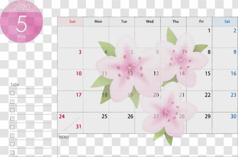 Pink Text Petal Plant Flower Transparent PNG