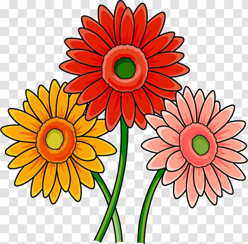 Transvaal Daisy Cut Flowers Food Chrysanthemum Floral Design - Local - Gerbera Transparent PNG