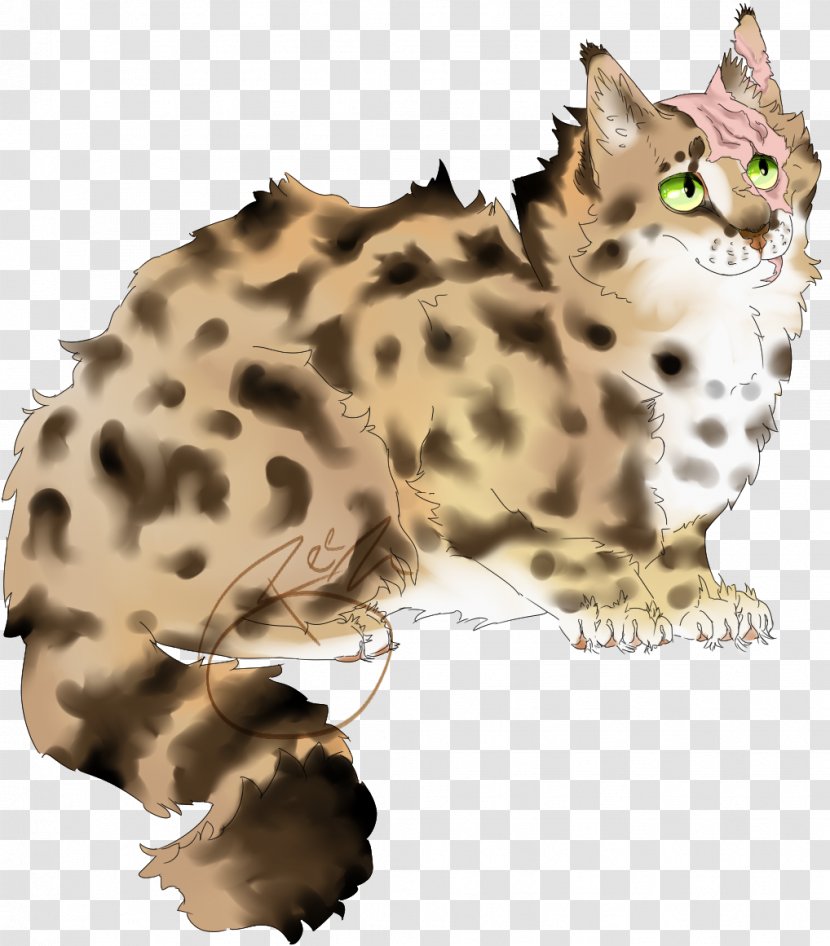 Whiskers Bengal Cat Leopard Cheetah Snout Transparent PNG