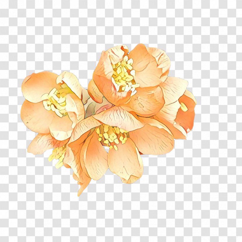 Orange - Yellow - Brooch Cut Flowers Transparent PNG