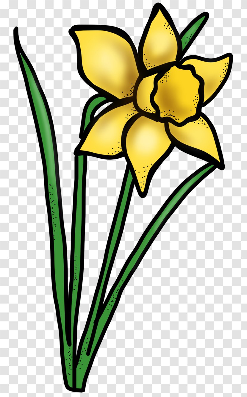 Spring Floral Design National Primary School Easter Cut Flowers - Preschool - Stem Daffodil Transparent PNG