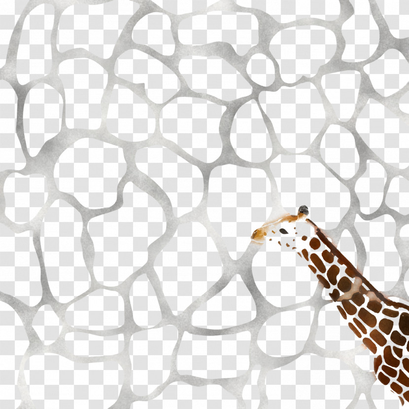 Giraffe Pattern Line Area Terrestrial Plant Transparent PNG