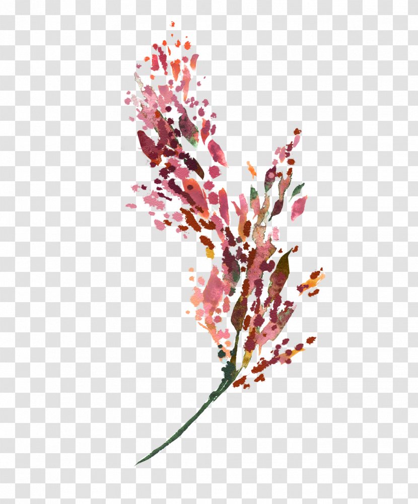 Watercolor Flower Background - Twig - Flowering Plant Branch Transparent PNG