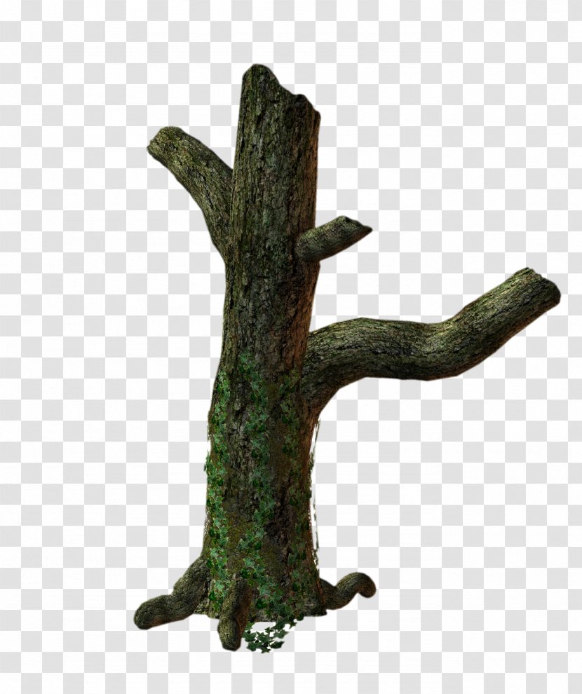 3D Trees Trunk Clip Art - 3d - Root Transparent PNG