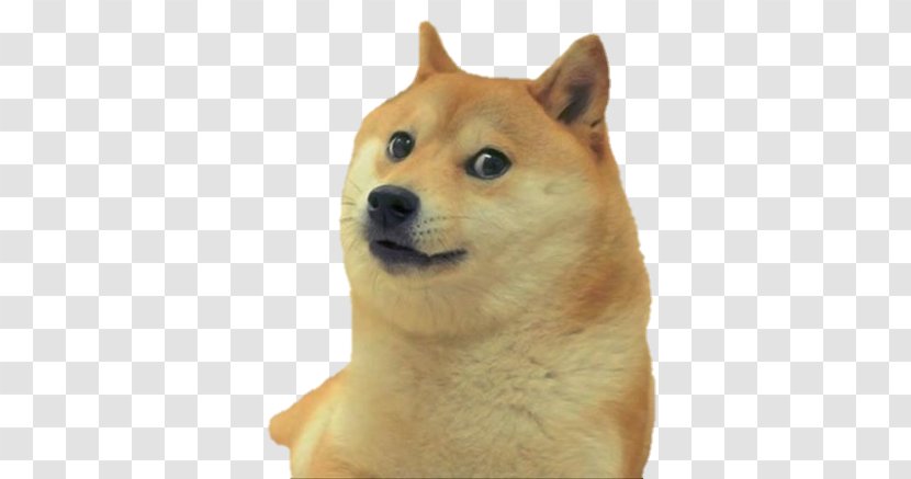 Shiba Inu Dogecoin Imgur - Dog Breed Group - Reddit Transparent PNG