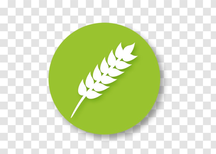 Gluten-free Diet Food Symbol - Dishes Transparent PNG
