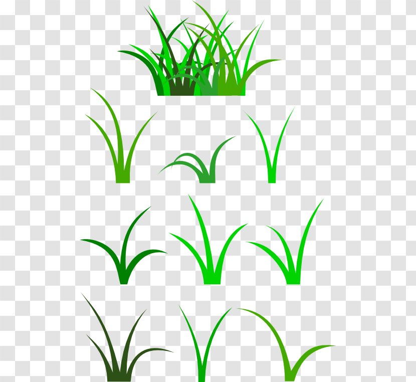 Blade Clip Art - Grass - Cliparts Border Transparent PNG