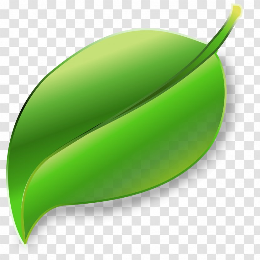 Clip Art - Inkscape - Leaf Transparent PNG