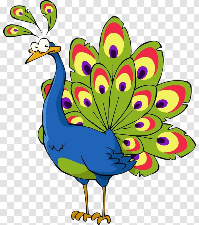 Royalty-free Stock Photography Vector Graphics Peafowl Illustration - Cartoon Peacock Transparent PNG