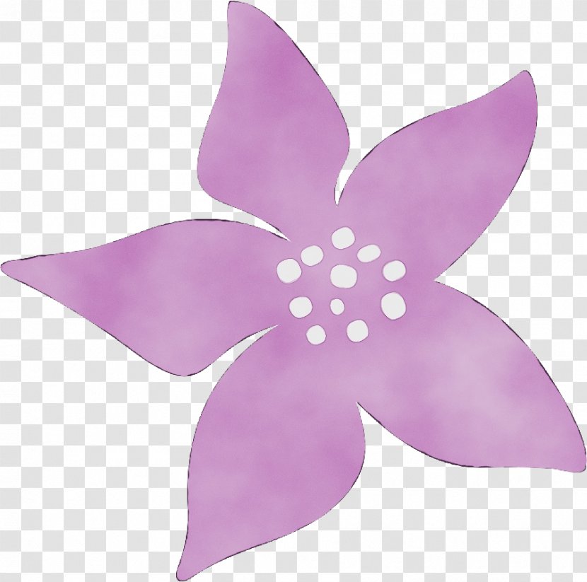 Petal Violet Pink Purple Lilac - Plant - Herbaceous Wheel Transparent PNG