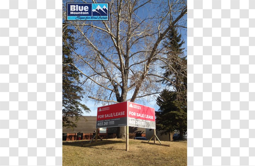 Real Estate Commercial Property Lease House - Blue Mountain Signs - Advertising Transparent PNG