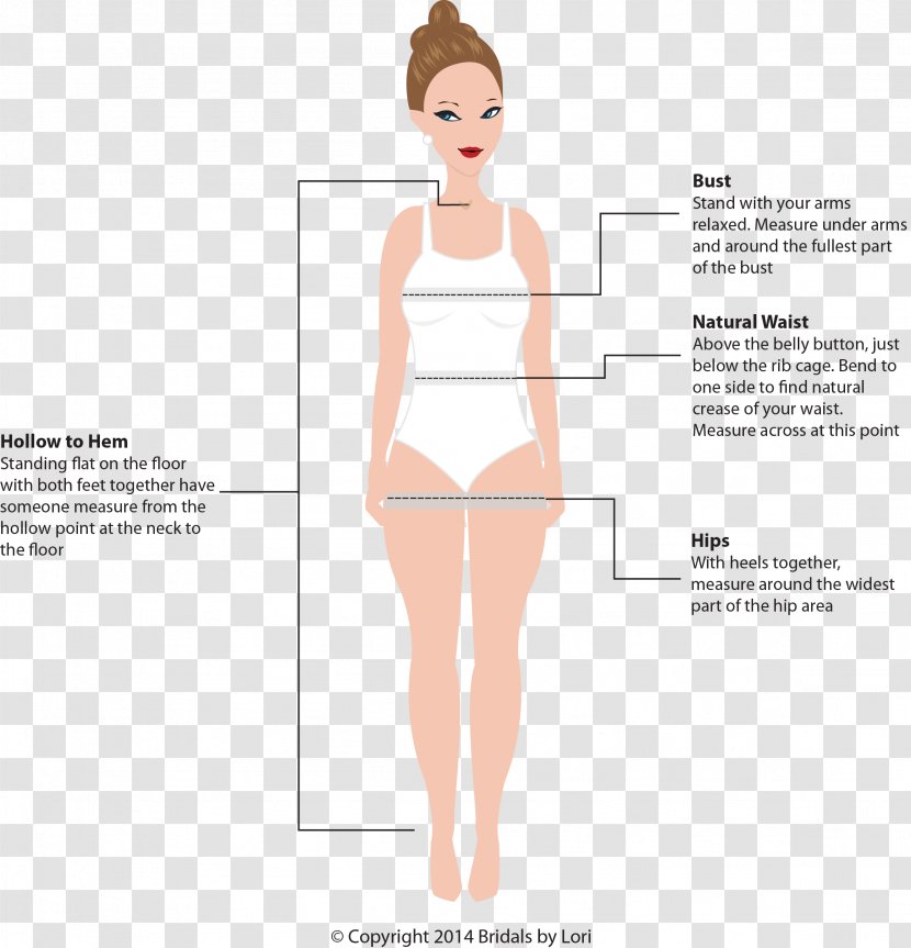Bust/waist/hip Measurements Dress - Tree - Size Chart Transparent PNG