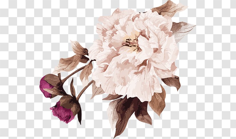 Cut Flowers Floral Design Art Flower Bouquet - Rose Family Transparent PNG
