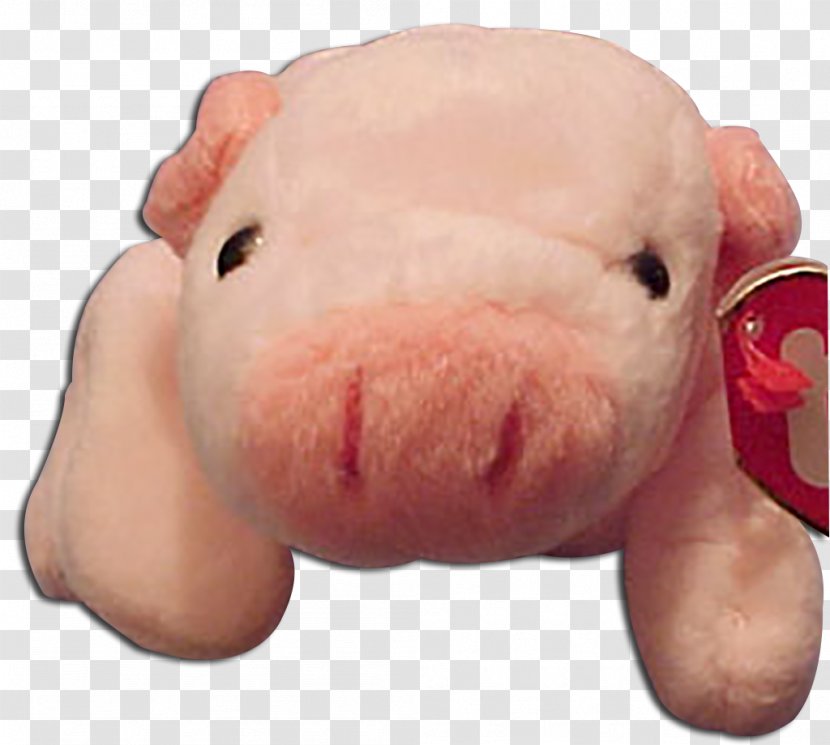 Domestic Pig Mouth Snout Stuffed Animals & Cuddly Toys - Cartoon Transparent PNG