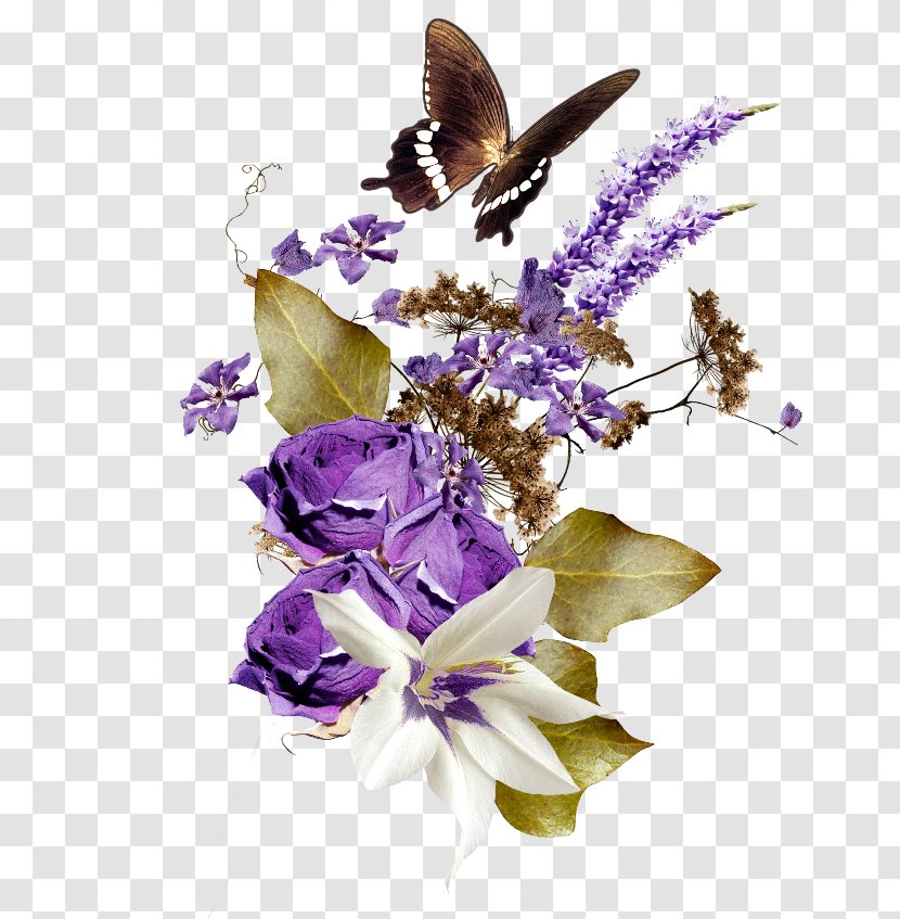 Flower English Lavender Wreath Clip Art - Invertebrate Transparent PNG